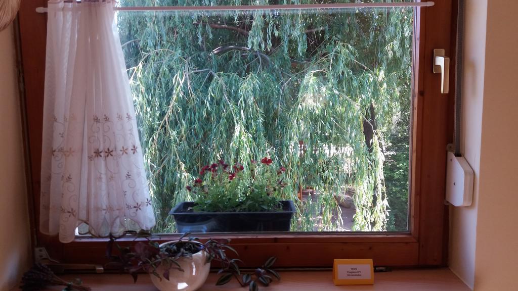Pongracz Apartman Zirc Exteriör bild